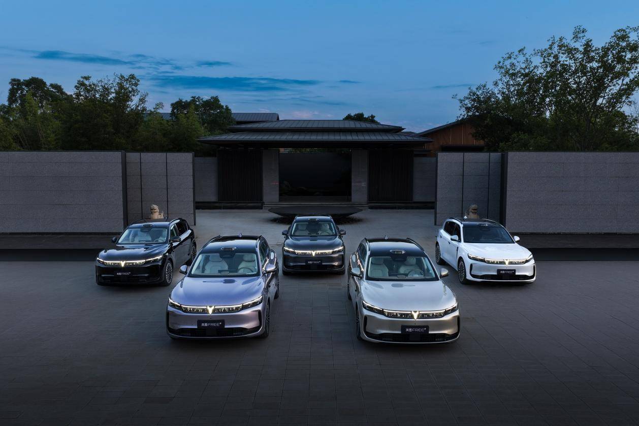 手握25萬預算,為什么這么多人選擇了嵐圖FREE+!