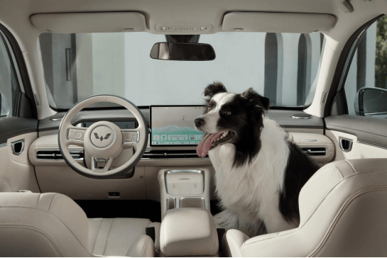 五菱繽果S正式登場:高質(zhì)感小車的新標桿